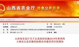 临汾最新的爆料,揭秘背后惊人真相