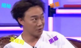 明星娱乐圈爆料八卦,明星背后的惊人真相与幕后故事